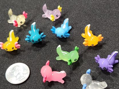 Mixed Axolotls 10pk